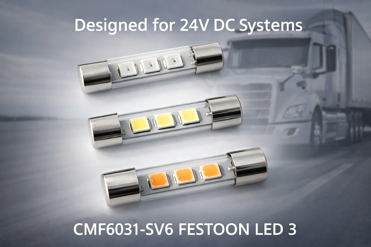CMF6031-SV6 FESTOON LED 3 CMF6031-SV6 FESTOON LED 3